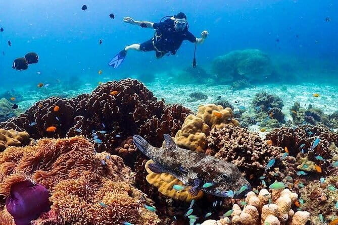 Phuket Scuba Diving Tour with Transportation - The Sum Up
