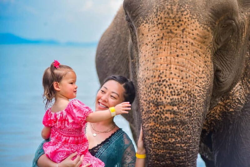 Phuket:Beach walk with elephants, rain & care. 2.5 hours - Key Points