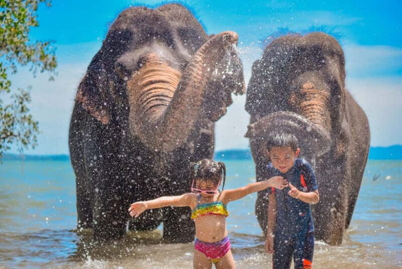 Phuket:Beach walk with elephants, rain & care. 2.5 hours - Practical Details: What to Know Before You Go