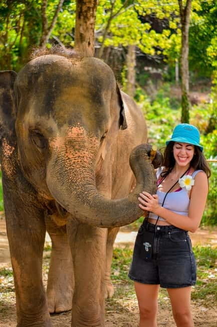 Phuket:Beach walk with elephants, rain & care. 2.5 hours - Why This Tour Truly Shines