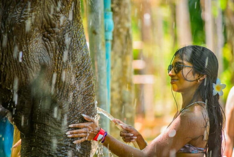 Phuket:Beach walk with elephants, rain & care. 2.5 hours - Who Will Love This Experience?