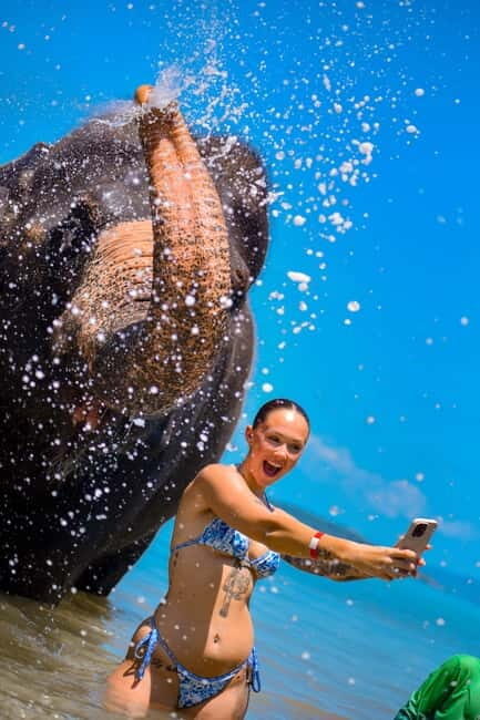 Phuket:Beach walk with elephants, rain & care. 2.5 hours - FAQ