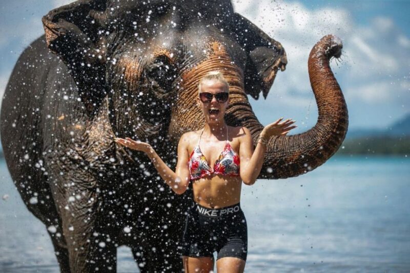 Phuket:Beach walk with elephants, rain & care. 2.5 hours - Final Thoughts