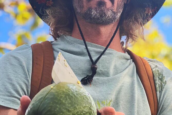 Pick and Taste Tropical Fruit - What to Expect on the Tour