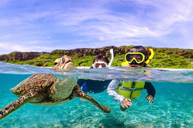 Pick-up OK1~70old99% Snorkelingsea turtles, fish and coral - An Overview of the Miyakojima Snorkeling Experience