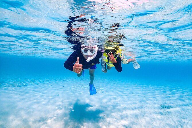 Pick-up OK1~70old99% Snorkelingsea turtles, fish and coral - Who Will Love This Tour?