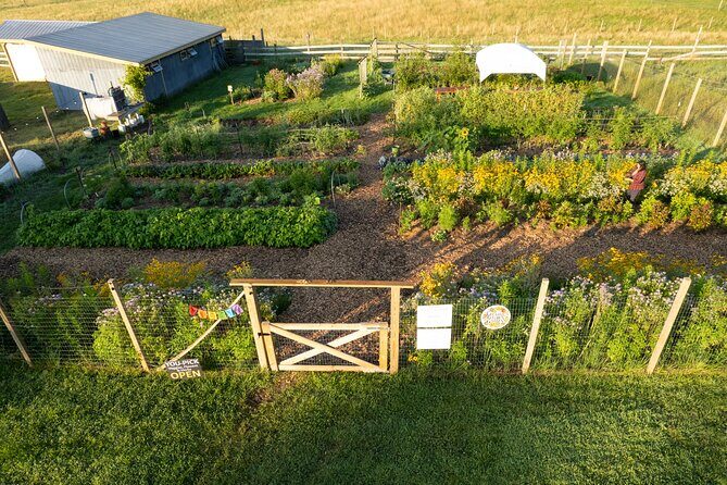 Pick Your Own Flowers on the Farm - A Detailed Look at the Experience