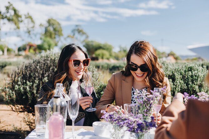 Picnic among lavender - Key Points