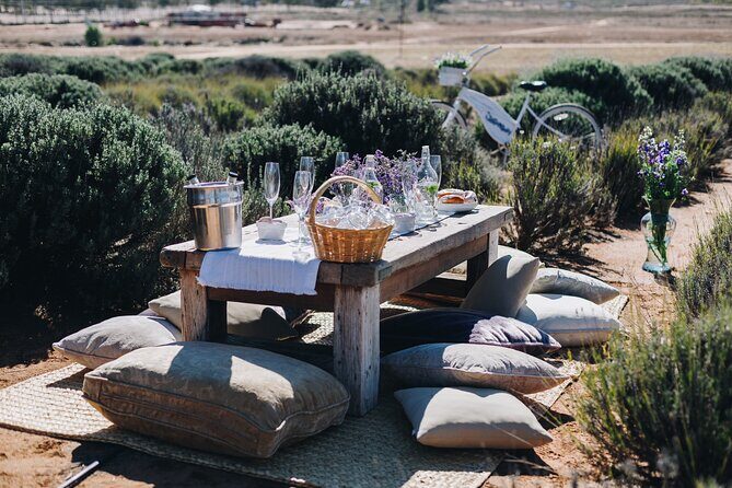 Picnic among lavender - In The Sum Up