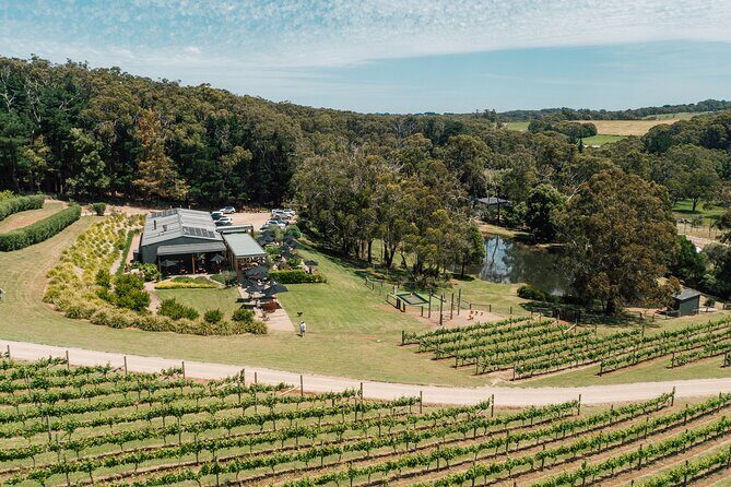 Picnic and Farm Experience at Red Hill - Discovering the Picnic and Farm Experience at Red Hill