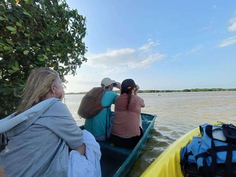 PICNIC ON A SANDBANK + KAYAK ADVENTURE FROM SISAL PUERTO - An In-Depth Look at the Sandbank & Kayak Tour