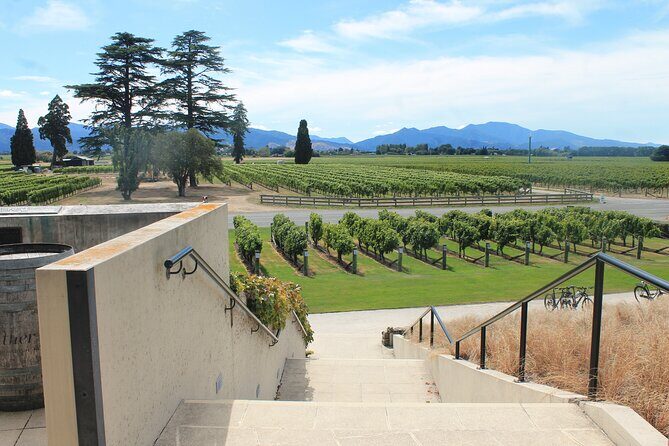 Picton & Blenheim Scenic Tour - The Reviews Say It All