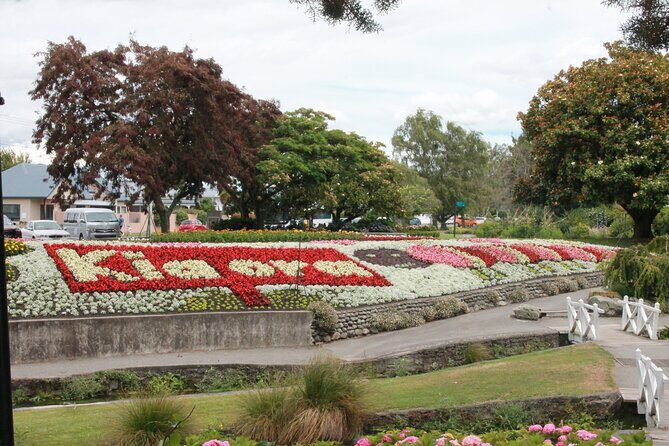 Picton & Blenheim Scenic Tour - The Sum Up: Who Should Consider This Tour?