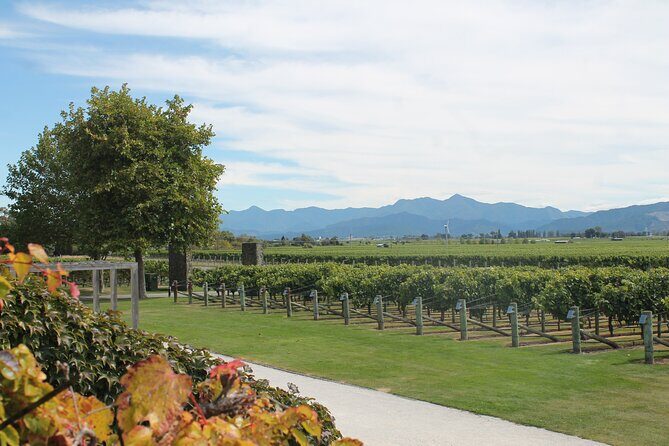 Picton & Blenheim Scenic Tour - Frequently Asked Questions