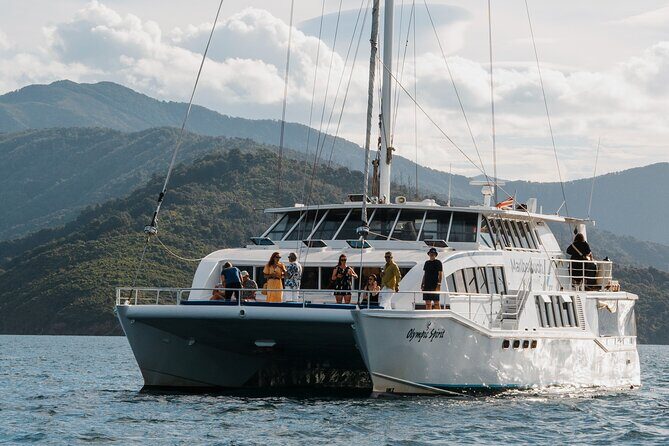 Picton Morning Guided Kayak with Afternoon Boat Cruise Tour - An Intimate Adventure in the Marlborough Sounds