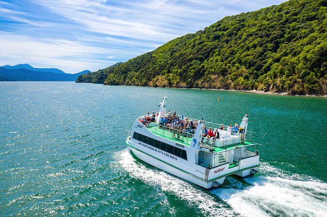 Picton Shore Excursion Queen Charlotte Sound Cruise - Value and Practical Tips