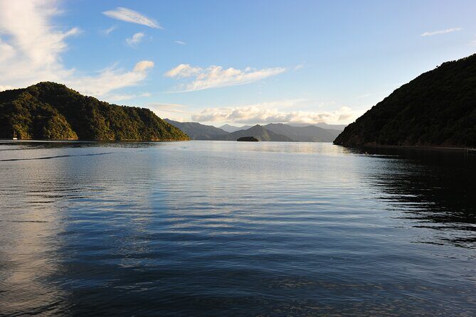 Picton Shore Excursion Queen Charlotte Sound Cruise - Who Will Love This Tour?