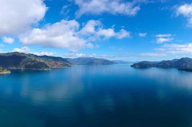 Picton Shore Excursion Queen Charlotte Sound Cruise - The Sum Up