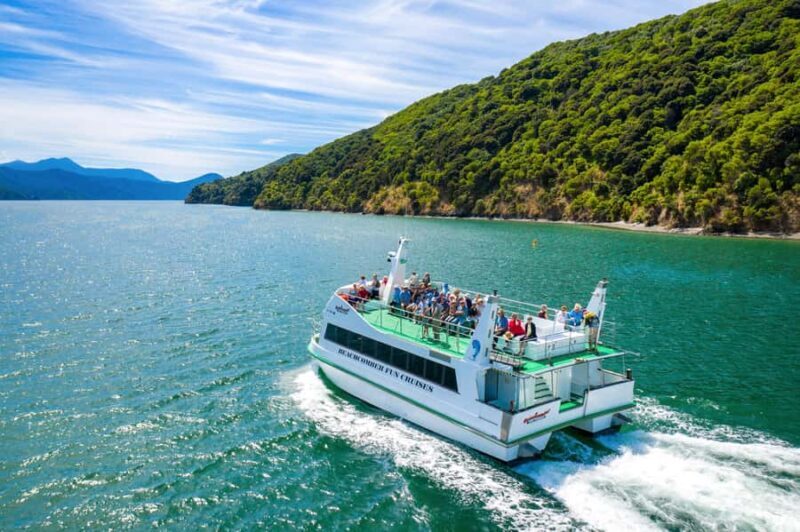Picton Shore Excursion: Queen Charlotte Sounds Cruise - An Honest Look at the Queen Charlotte Sounds Cruise