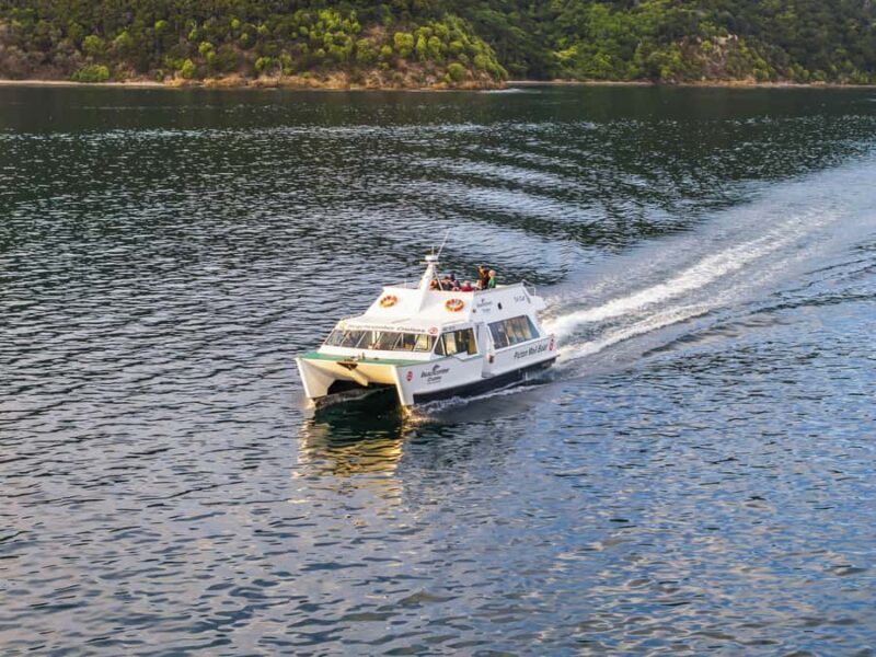 Picton Shore Excursion: Queen Charlotte Sounds Cruise - Practical Tips for Your Cruise
