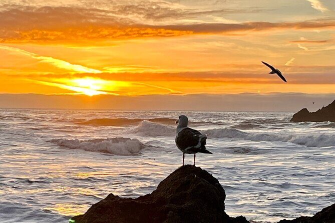 Picture your best SF tour ever! (Epic Bay Area photo adventures) - An In-Depth Look at the Epic Bay Area Photo Adventures