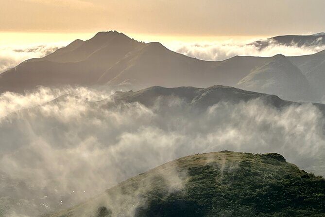 Picture your best SF tour ever! (Epic Bay Area photo adventures) - Authentic Reviews and Insights