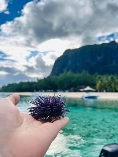 'Pieds dans l'eau': Snorkel & have Lunch on 'Benitier island - Who Will Enjoy This Tour?