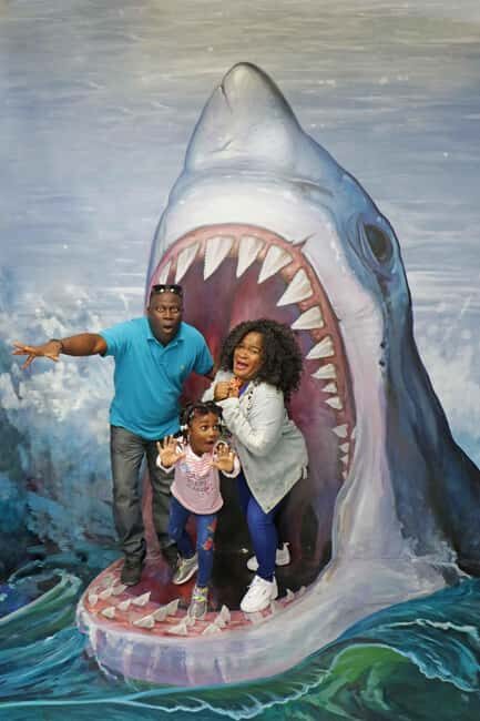 Pier 39: Museum of 3D Illusions - Key Points