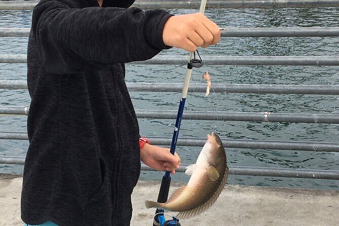 Pier Fishing Tour - San Diego - What to Expect from the Pier Fishing Tour
