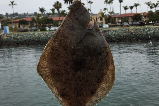 Pier Fishing Tour - San Diego - Who This Tour Is Best For