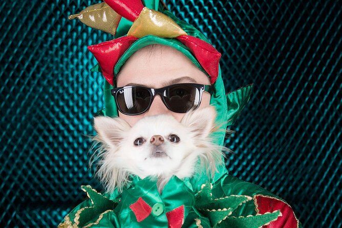 Piff the Magic Dragon at the Flamingo Las Vegas - FAQ: Practical Questions About Piff the Magic Dragon