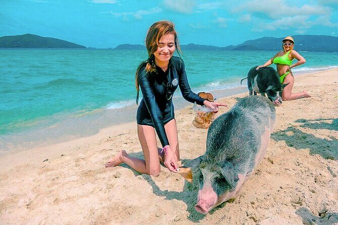 Pig Island (Koh Mudsum) and Koh Tan Tour with Meal from Koh Samui - The Sum Up