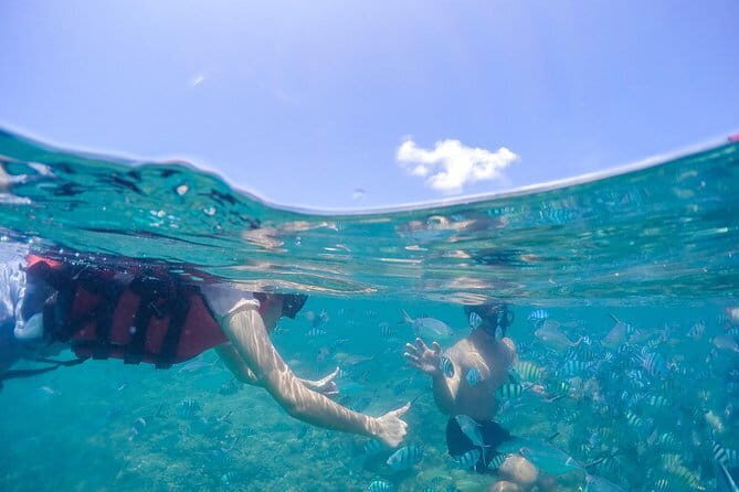Pig Island & Koh Tan Tour by Speed Boat (Snorkeling & Kayaking) - Final Thoughts: Is It Worth It?