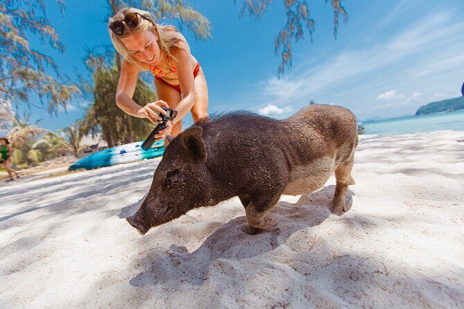 Pig Island Private Longtail Boat Trip From Koh Samui - FAQ