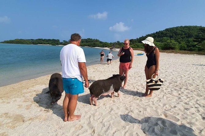 Pig Island Snorkeling & Sightseeing Tour By Speedboat From Koh Samui - Who Will Appreciate This Tour?