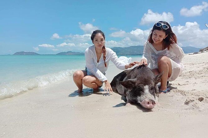 Pig Island Snorkeling & Sightseeing Tour By Speedboat From Koh Samui - FAQ