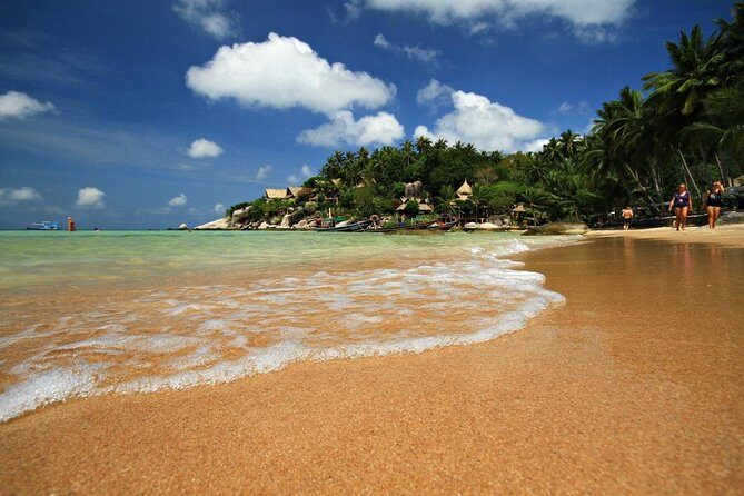 Pig Island Tour by Speedboat with Snorkeling - Exploring the Pig Island Tour by Speedboat with Snorkeling: An Honest Look