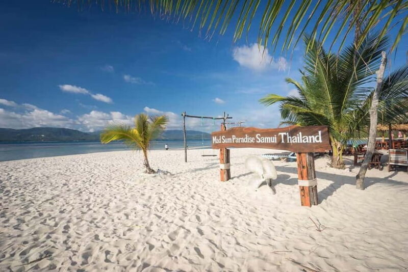 Pig Island(Koh Mudsum) and Koh Tan Half Day Snorkeling Tour - A Deep Dive into the Koh Mudsum and Koh Tan Experience