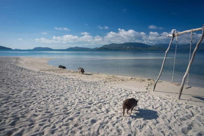 Pig Island(Koh Mudsum) and Koh Tan Half Day Snorkeling Tour - Who Should Consider This Tour?