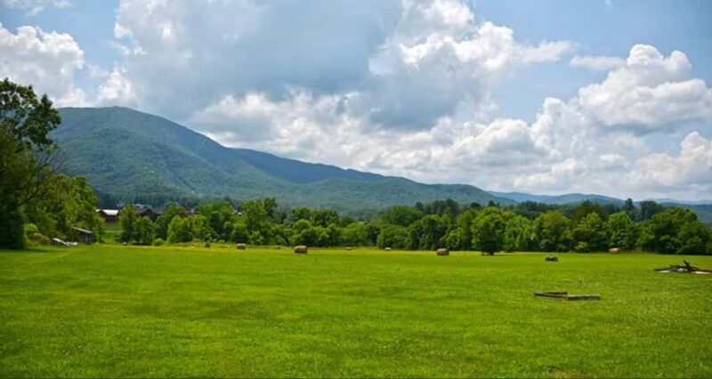 Pigeon Forge: Cades Cove Tour in a Pink Panorama Van - Practical Considerations and Tips
