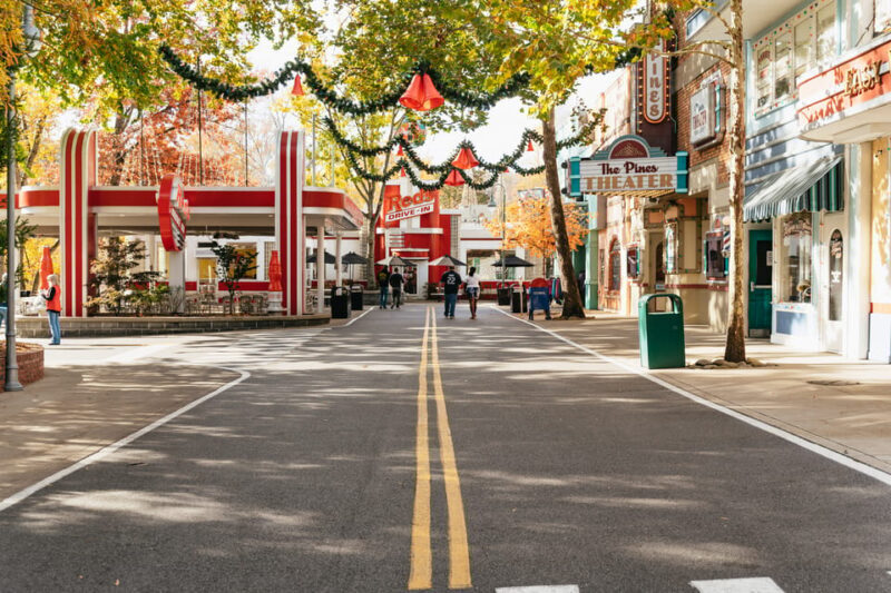 Pigeon Forge: Dollywood Theme Park Entry Ticket - Who Should Consider This Tour?
