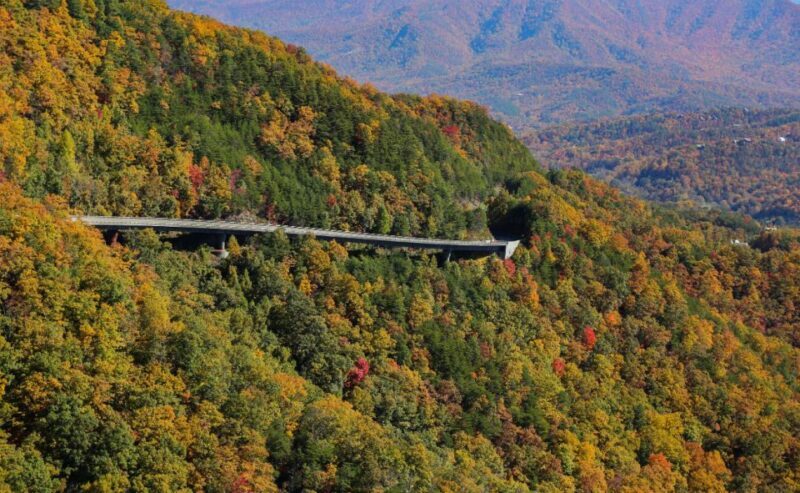 Pigeon Forge: Wears Valley Helicopter Tour - The Authentic Experience and What Travelers Say
