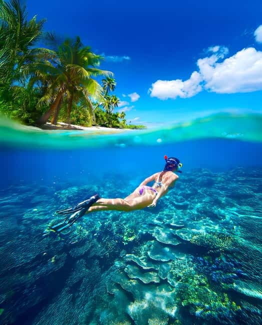 Pigeon Island Snorkeling Tour from Uppuveli Beach - An In-Depth Look at the Experience