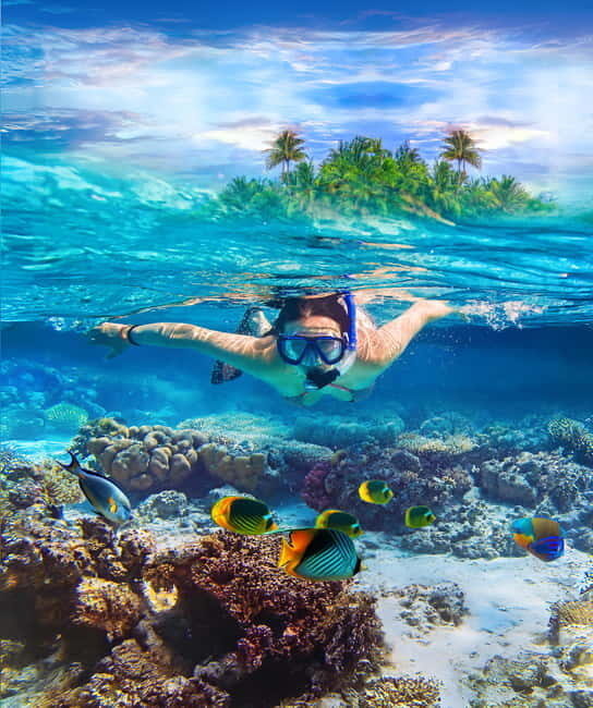 Pigeon Island Snorkeling Tour from Uppuveli Beach - Practical Tips for Travelers