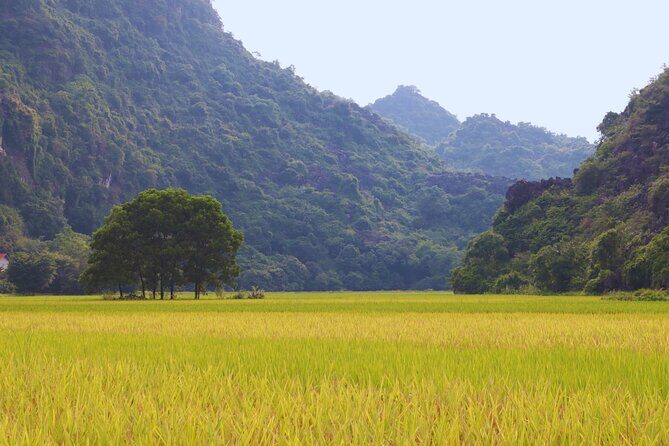 PiGo Ninh Binh E Bike Adventure - What Travelers Say