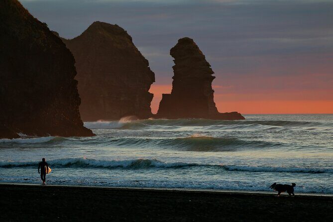 Piha Beach & Wilderness Nature : PRIVATE TOUR 8 hrs - Discover Auckland’s Hidden Gems: A Comprehensive Look at the Piha Beach & Wilderness Nature Private Tour