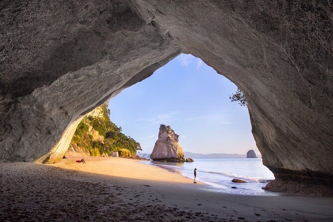 Piha Beach & Wilderness Nature : PRIVATE TOUR 8 hrs - Who Will Love This Tour?