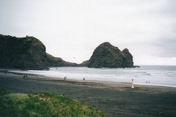 Piha Beach & Wilderness Nature : PRIVATE TOUR 8 hrs - Final Thoughts