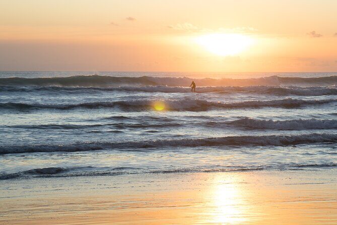 Piha Beach & Wilderness Nature : PRIVATE TOUR 8 hrs - FAQ