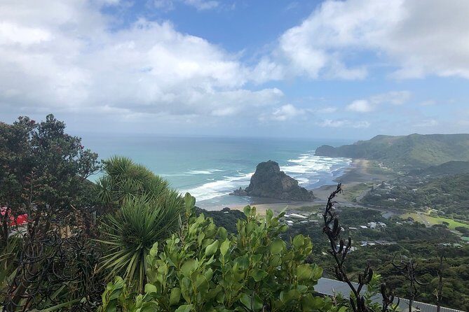 Piha Waitakere Rainforest Wine Tour from Auckland - What Makes This Tour Stand Out?